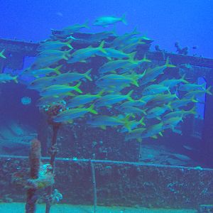 26 Carthaginian Wreck