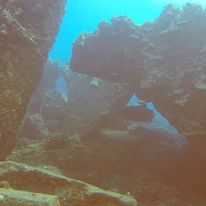 37 White Tip Shark Under Mala Pier