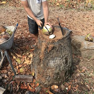 5 Coconut Farm