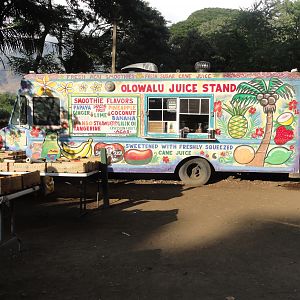 11 Fruit Stand