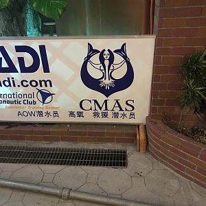 Not sure why, but I really want to get a CMAS certification now...