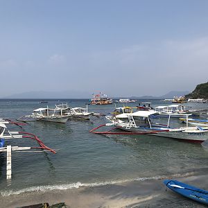 Harbor view