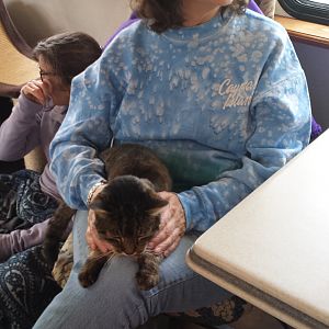 Heidi Ho lovin' on BT