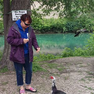 wanderwoman feeding the duck toasted hot dog buns