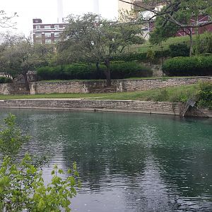 Sunday Morning Comal 01