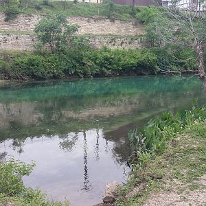 Sunday Morning Comal 02