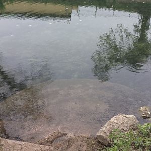 Sunday Morning Comal 03