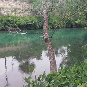 Sunday Morning Comal 04