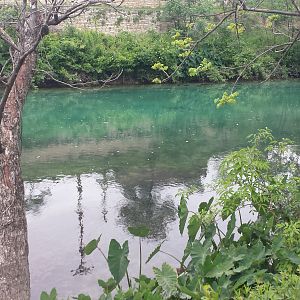 Sunday Morning Comal 05