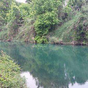 Sunday Morning Comal 06