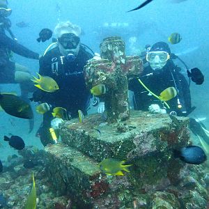 Reefhound and New Adventure