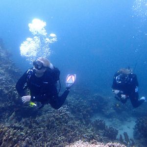 Reefhound and Watermonkee