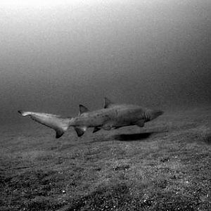 CRW_4857
