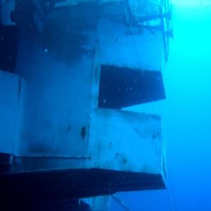 Reefhound learns to play the alpenhorn