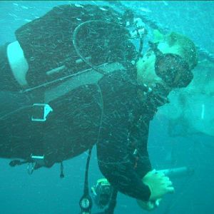 No, we didn't eat them