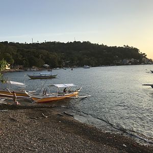 44  Hotel Beach At Anilao