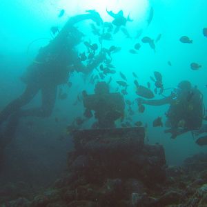 46  Fishfeeding At Cross