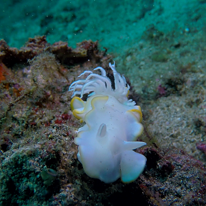 Vlcsnap-2018-04-18-22h19m27s280