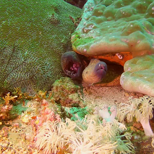 Vlcsnap-2018-04-18-22h21m43s818