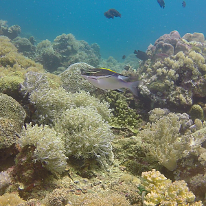 Vlcsnap-2018-04-18-22h17m32s211