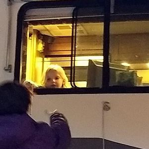 Vivie helping through the window