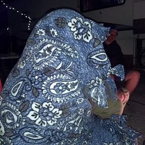 Someone was really cold...