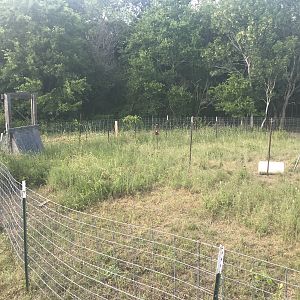 5 - Hog Trap