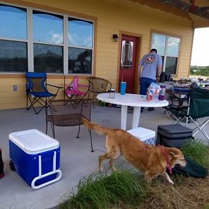 IMG_20180519_160715257 (Small)