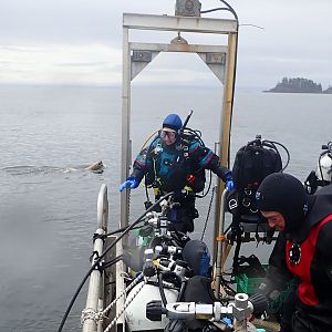 this dive got the seal of approval