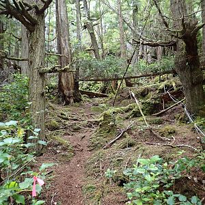 path to the top of the island