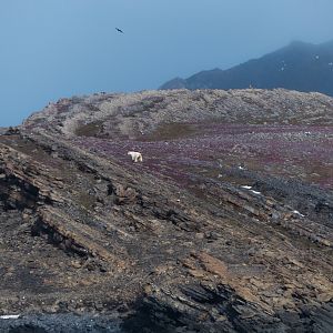 P1100177