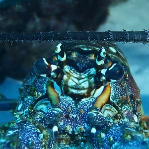 Got both my eyes on you