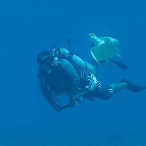 Yasser with turtle