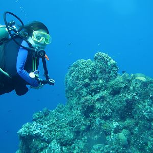 Ms KJenn Dives inspects the reef