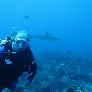 K-Jenn Diver with shark