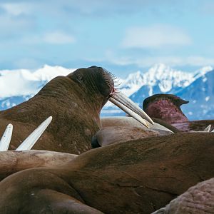 Checking Out The Scene-1