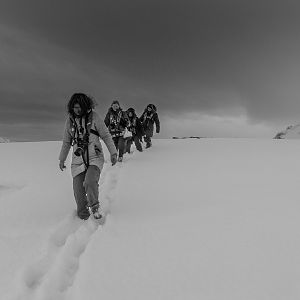 Ladies Afternoon Stroll-1