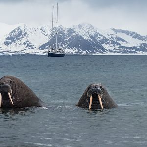 Youre Going Where--1 (2)