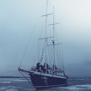 Walking On Ice-1 (2)