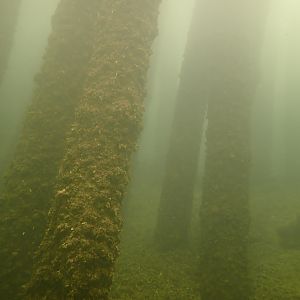 trestle
