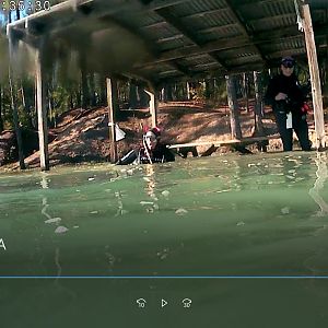 Scubakitty Tests The Water