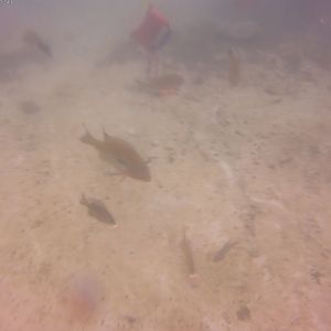 20180101_164741A
