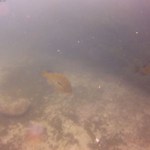 20180101_164907A
