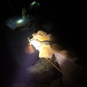 24 - Dos Ojos Barbie Line