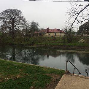 San Marcos River Looking Downstream