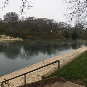 San Marcos River Looking Upstream