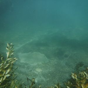 Comal River 04