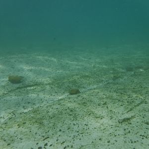 Comal River 01