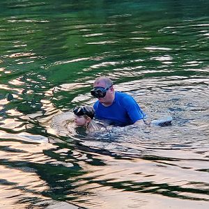Volans & Vivi's Evening Swim 01