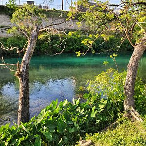Beautiful Comal River